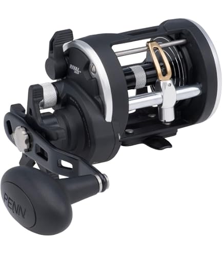 Penn Level Wind Reel 309M 1152034 : Amazon.ca: Sports & Outdoors